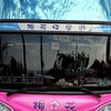 桐花旅行社2群