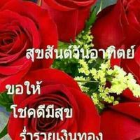 ห้องคนเหงาเข้ามาพูดกันได้