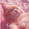 💎癒しの宣伝部屋Ⅱ💎自由で楽しいオプチャ宣伝&相互⭐️ライト宣伝🎙️しにきてね💖