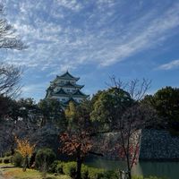 楽しくチャットして楽しくチャットして愉快な仲間になりましょう。40-50代限定　愛知　岐阜　三重