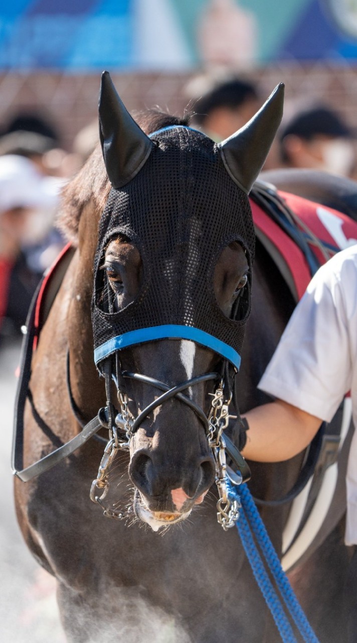 さーどすてーじの競馬部屋のオープンチャット