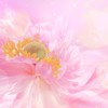 お悩み相談室(雑談あり)