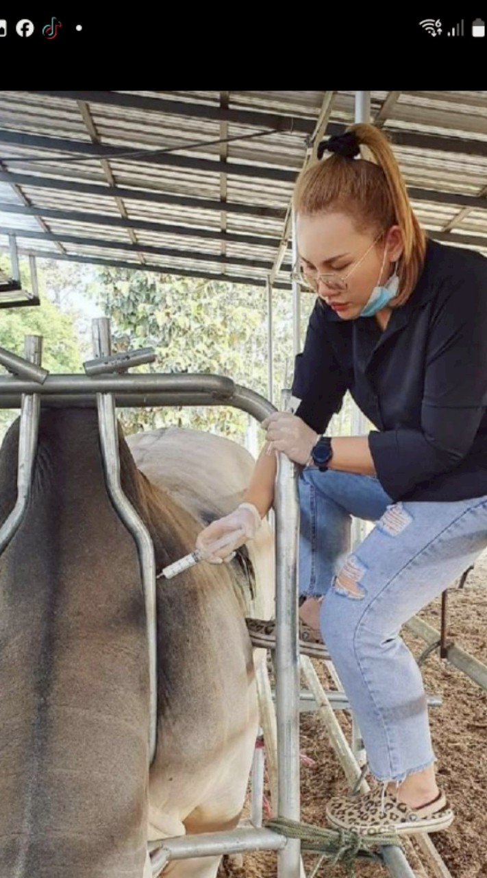 ปรึกษาปัญหาสุขภาพสัตว์ by หมออุ๋มอิ๋ม