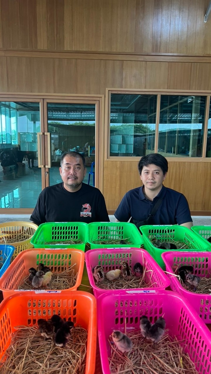 กลุ่มขายลูกไก่ สายโกวเซ้มฟาร์ม
