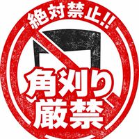 葛茶会