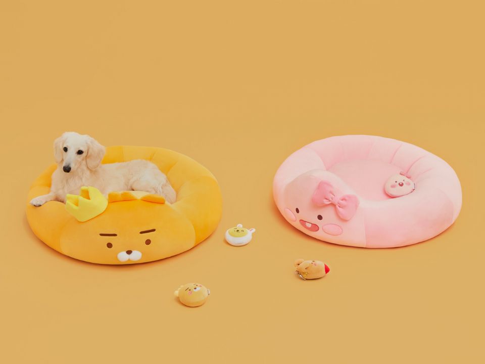 圖片來源：KAKAO FRIENDS.KR