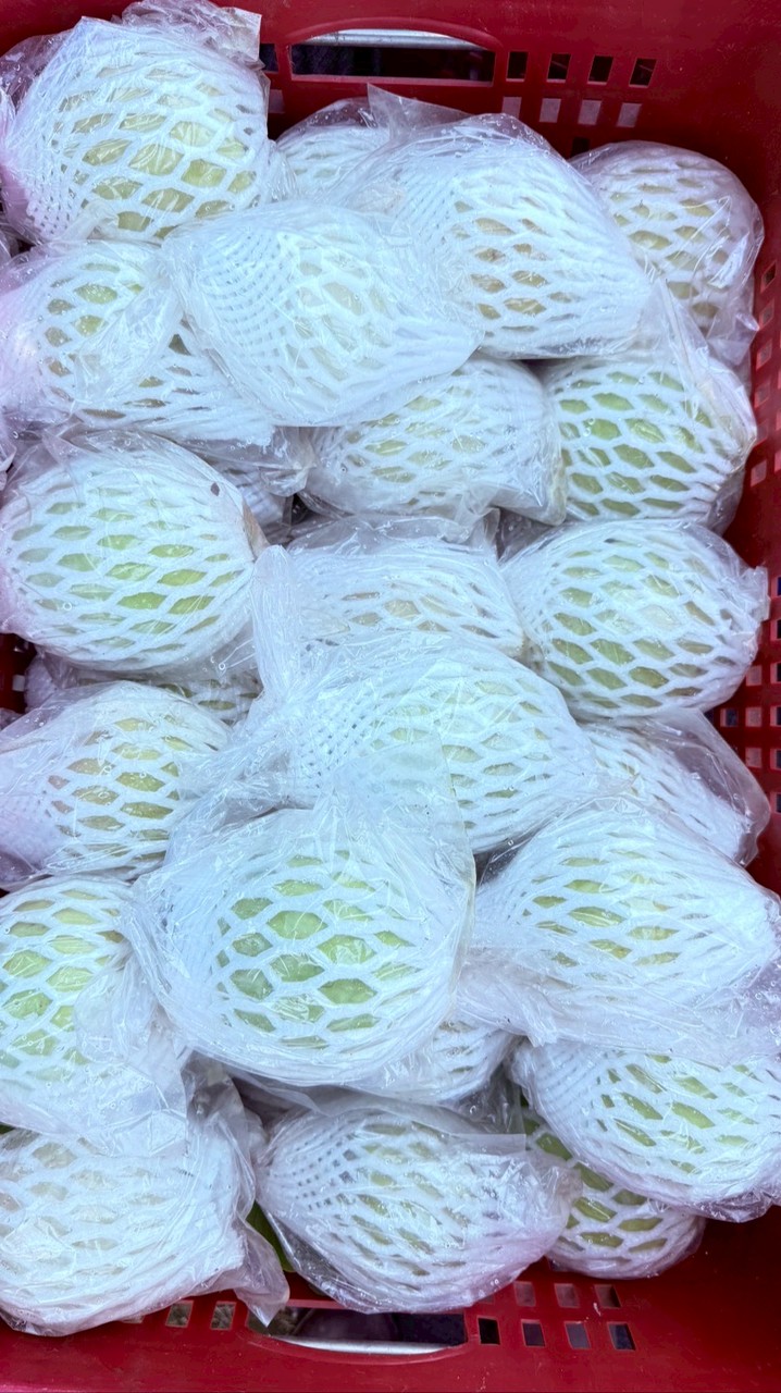 阿蓮紅心芭樂/珍珠芭樂/帝王芭樂