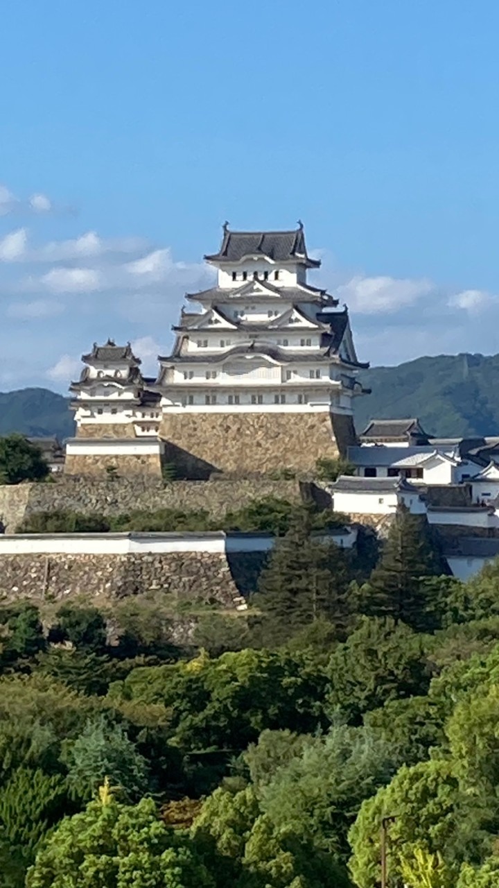 お城好きの部屋