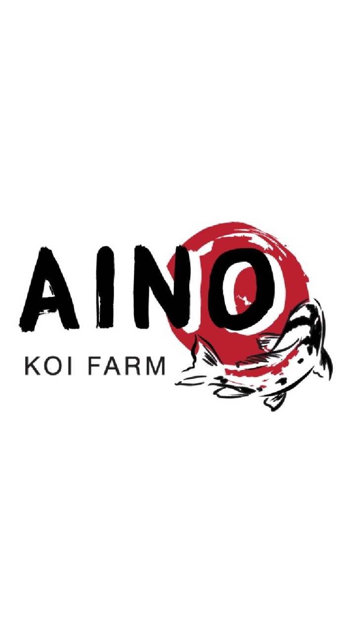 Aino koi farm