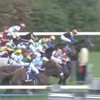 女子限定‐JRA競馬を語ろう