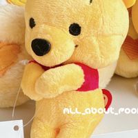 คนรักหมีพูห์