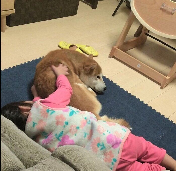 犬の 足クロス にはどんな意味がある