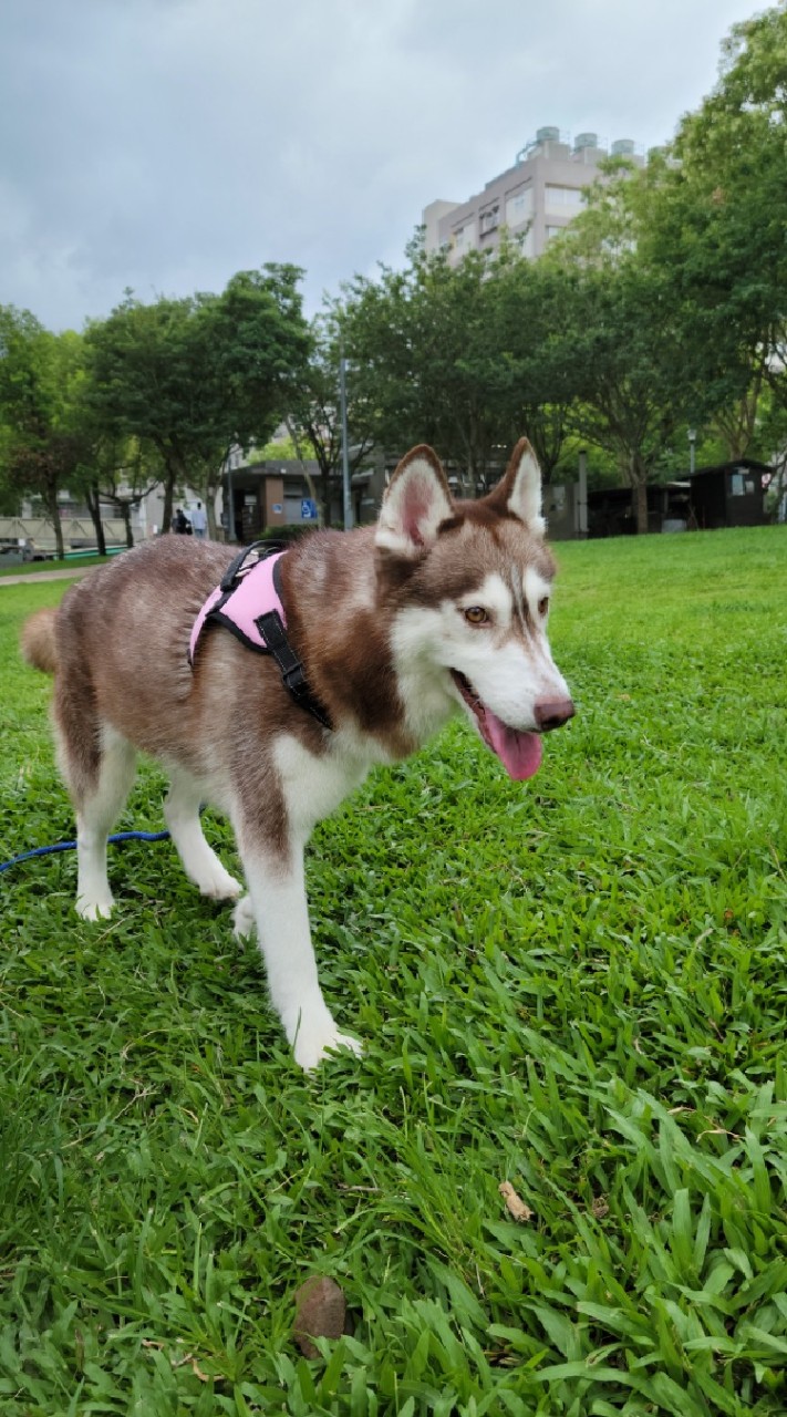 校園動物管理交流區（生命教育）