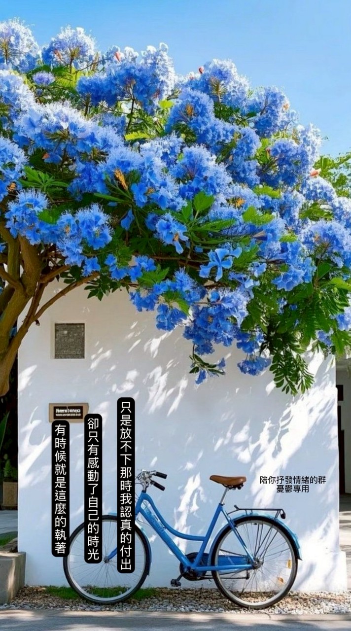 陪你抒發情緒的群🎐憂鬱專用