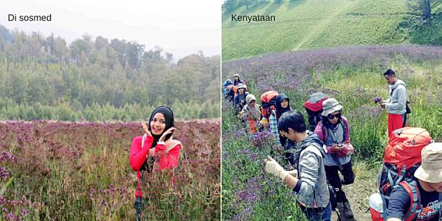 Ekspektasi vs Realita, 9 Foto Mendaki Ini Bikin Ngakak!