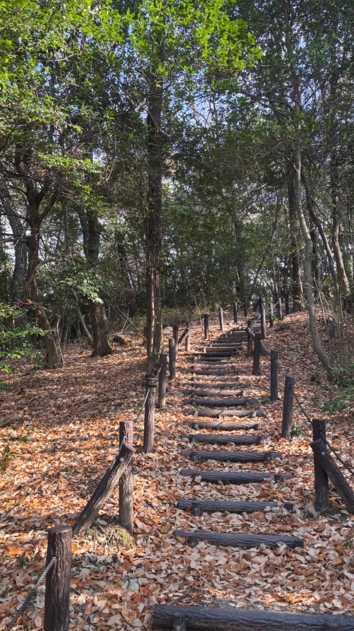 痛みの根本解決師