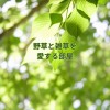 野草と雑草を愛する部屋【ライブトーク】【ガーデニング】【ハーブ】【土作り】【写真投稿】【宣伝.集客】