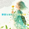野草と雑草を愛する部屋【ライブトーク】【ガーデニング】【ハーブ】【土作り】【写真投稿】【宣伝.集客】