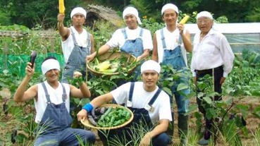 沒有TOKIO就沒有名牌草苺「咲姫」