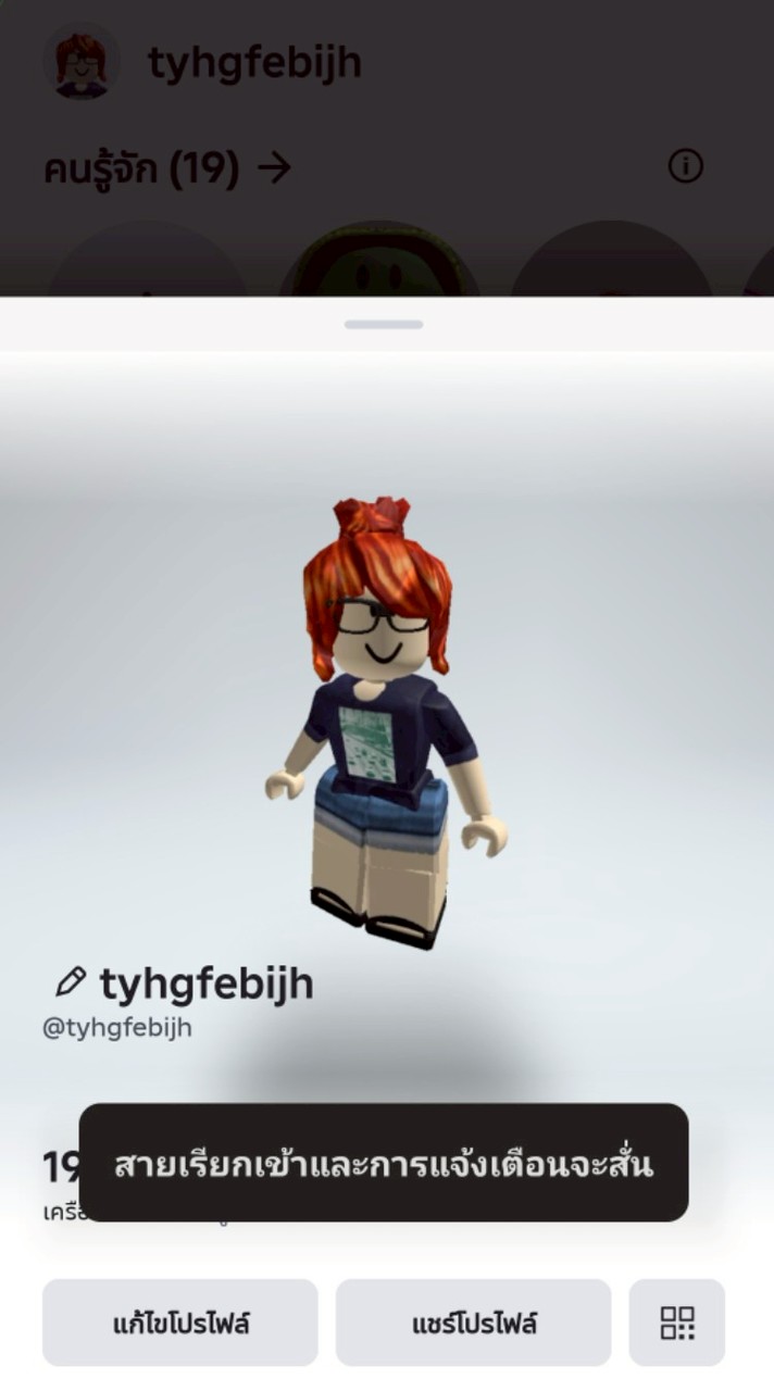 กลุ่มRoblokโรบอท