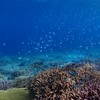 愛Love 宮古島