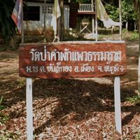 คำผักแพว ม.13 ชุมชน จ.ชัยภูมิ