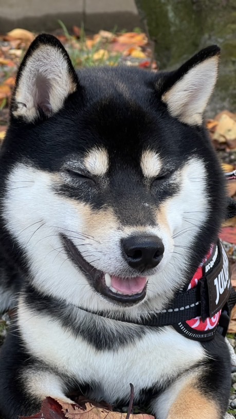 なんでもお話会