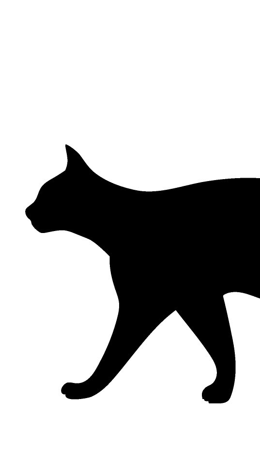 猫の国　パラノイズ7鯖