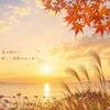 メンタルෆ‪.*･ﾟ癒しの空間ෆ‪.*･ﾟ癒しの雑談ꔛ‬ෆ不眠‪ෆ‪.*･ﾟ呟き部屋(*Ü*)ﻌﻌﻌ
