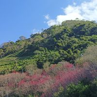 原漢分享讀書會