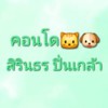 คอนโด เลี้ยงสัตว์ สิรินธร ปิ่นเกล้า