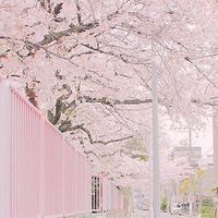 โรงเรียนอนิเมะ{[(role Play )]}