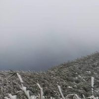 台語語音 唱歌 台灣文化傳承娛樂中心