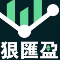 狠匯盈(外匯)掏金團隊