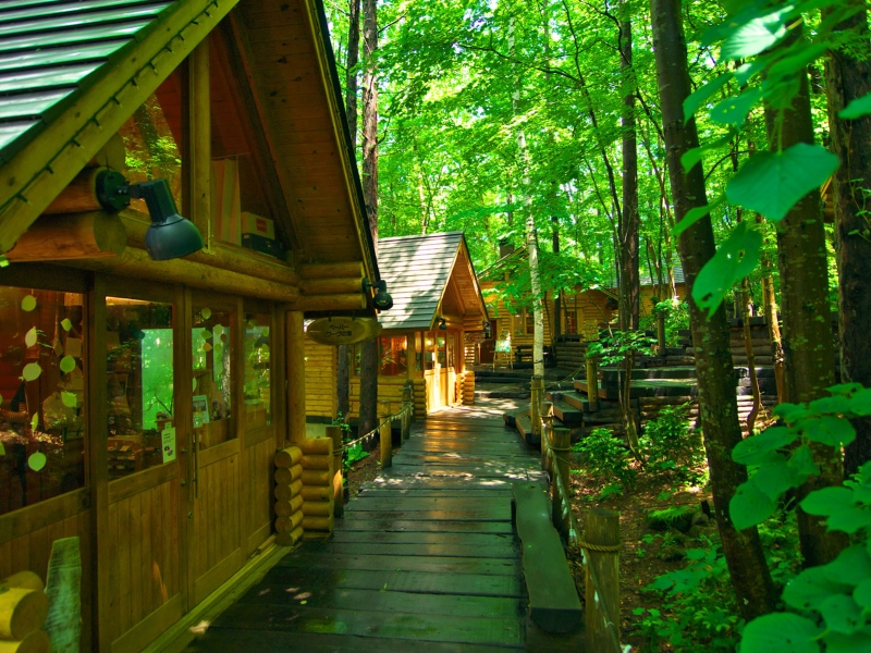 北海道 森林精靈露台