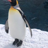 期指會客室
