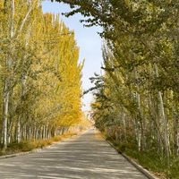 跟著阿p趣旅行
