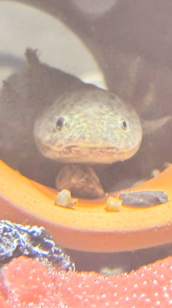 生き物の飼育してる人たちの溜まり場