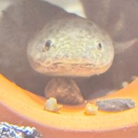 生き物の飼育してる人たちの溜まり場