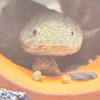 生き物の飼育してる人たちの溜まり場