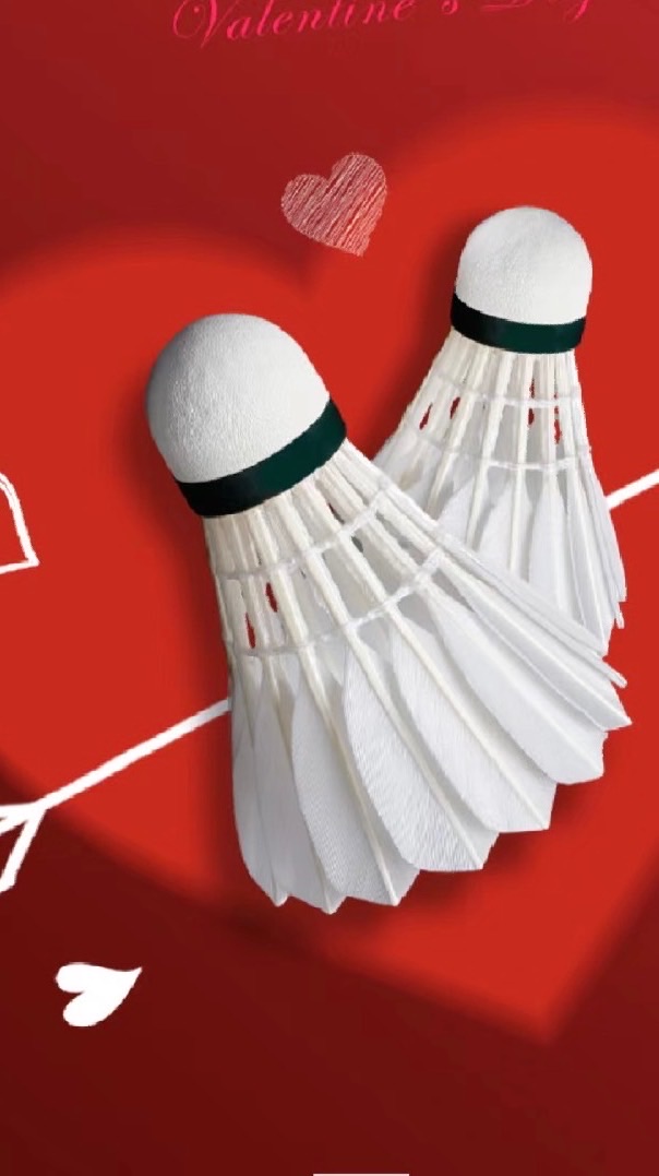 《泰光羽球隊🏸🏸🏸》