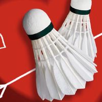 《泰光羽球隊🏸🏸🏸》