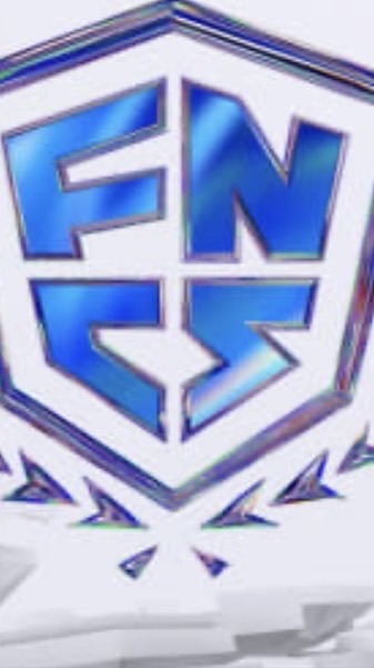 フォートナイト　競技