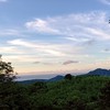 隨風而來50+歡樂家族