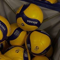 วอลเลย์บอลสีเหลือง
