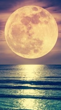🌕 満月のフォーチュン🌙*·̩͙                50代.60代雑談room 恋バナも🤔？