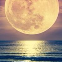 🌕 満月のフォーチュン🌙*·̩͙                50代.60代雑談room 恋バナも🤔？