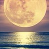 🌕 満月のフォーチュン🌙*·̩͙                50代.60代雑談room 恋バナも🤔？