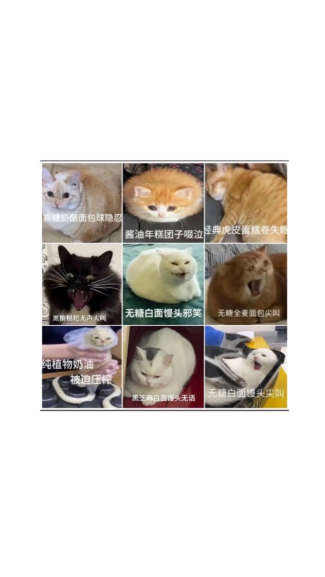 貓貓俱樂部