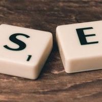 SEO高手接案賺錢群組
